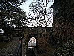 DSCN5375.JPG
